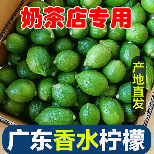 广东香水柠檬无籽手打柠檬茶专用奶茶店商用青柠水果鲜果新鲜现摘70-150g